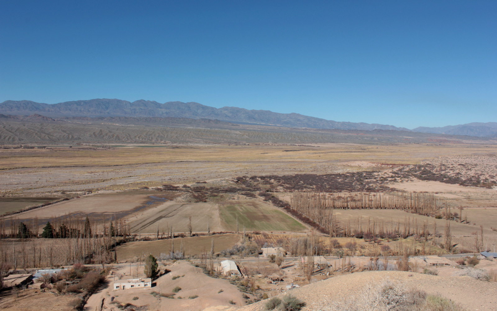 Chacras, álamos y cerros secos alrededor de Angualasto.